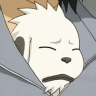 Akamaru Tired