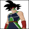 Bardock stance