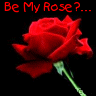 Be-My-Rose_3540