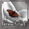 Beautiful-Butterfly_1772
