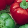 Bell Peppers