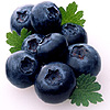 Blueberries