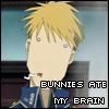 Bunnies ate my brain