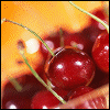 Cherries