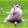 Golfer