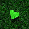 Green heart in grass