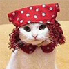 Gypsy Cat