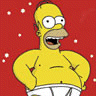 Homer In Underwear