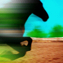 Horse Galloping