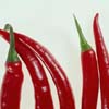 Hot Peppers