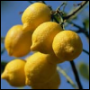 Lemons