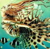 Lionfish Siryn