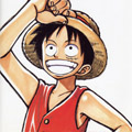 Luffy Salute