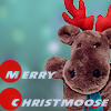 Merry Christmoose