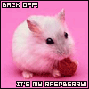 My Raspberry