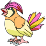 Pidgeotto