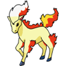 Ponyta