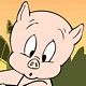 Porky Pig Concerned