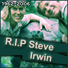 R.I.P Steve Irwin