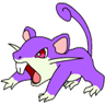 Rattata