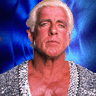 Ric Flair WWE