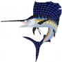 Sailfish