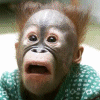 Scared Ape