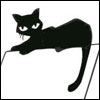 Slinky black cat