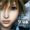 Sora up close