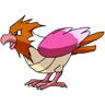 Spearow