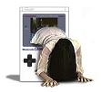 The Ring Gameboy