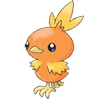 Torchic