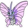 Venomoth