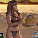 Volleyball 33