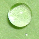 Water Droplet