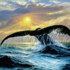 Whale Sunset