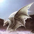 White Dragon