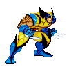 Wolverine fighter