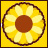 Yellow sunflower