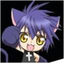 Yoru cute kitty