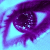 eye