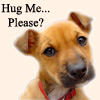 hug me please dog