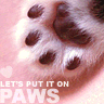 put it on paws